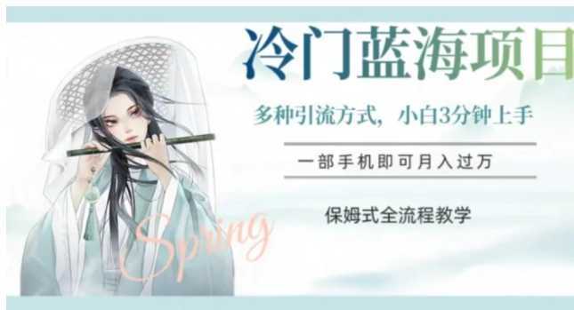 冷门蓝海项目，操作简单，小白3分钟上手，多种引流方式，保姆式全流程教学【揭秘】