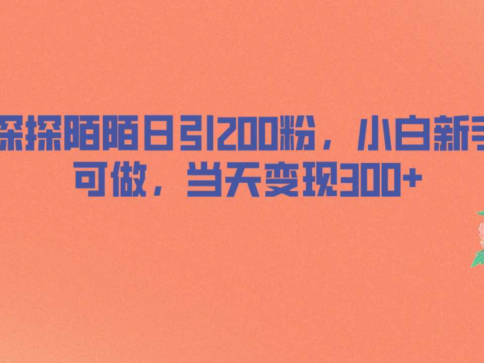 探探陌陌日引200粉，小白新手可做，当天就能变现300+