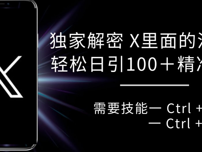 独家解密 X 里面的流量密码，复制粘贴轻松日引100+粉，精准迅速获客