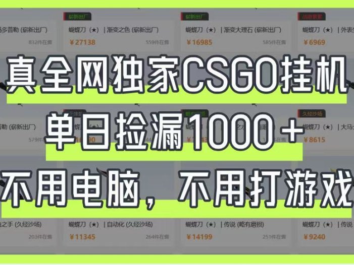 真全网独家CSGO挂机，单日捡漏1000+，不用电脑，不用养号