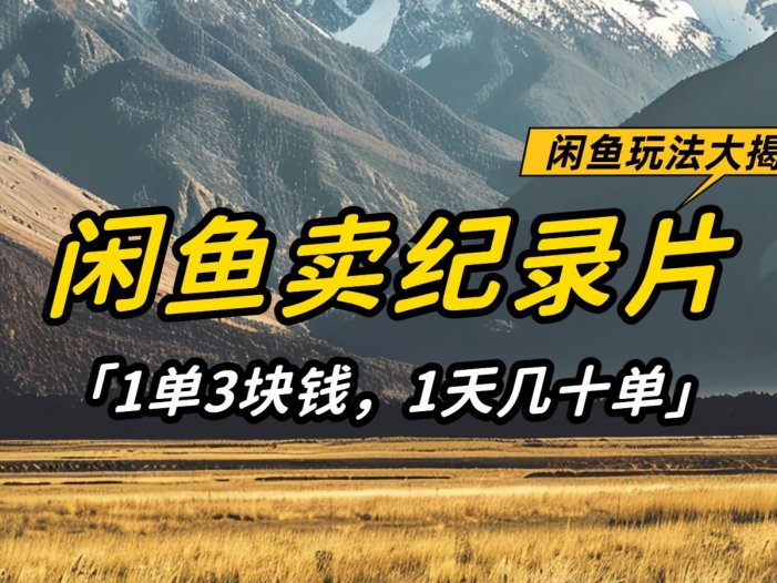 闲鱼卖纪录片，简单又赚钱的小项目，1单3块钱  1天几十单