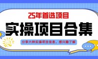 2025年实操六大项目实操演练，挂机类型，AI直播类型，轻资产创业类型，…