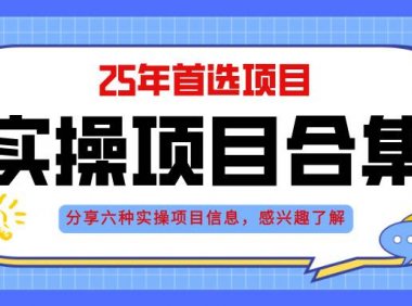 2025年实操六大项目实操演练，挂机类型，AI直播类型，轻资产创业类型，…